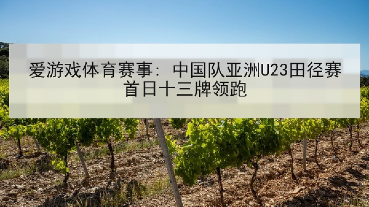 爱游戏体育赛事: 中国队亚洲U23田径赛首日十三牌领跑