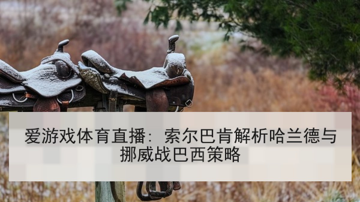 爱游戏体育直播: 索尔巴肯解析哈兰德与挪威战巴西策略